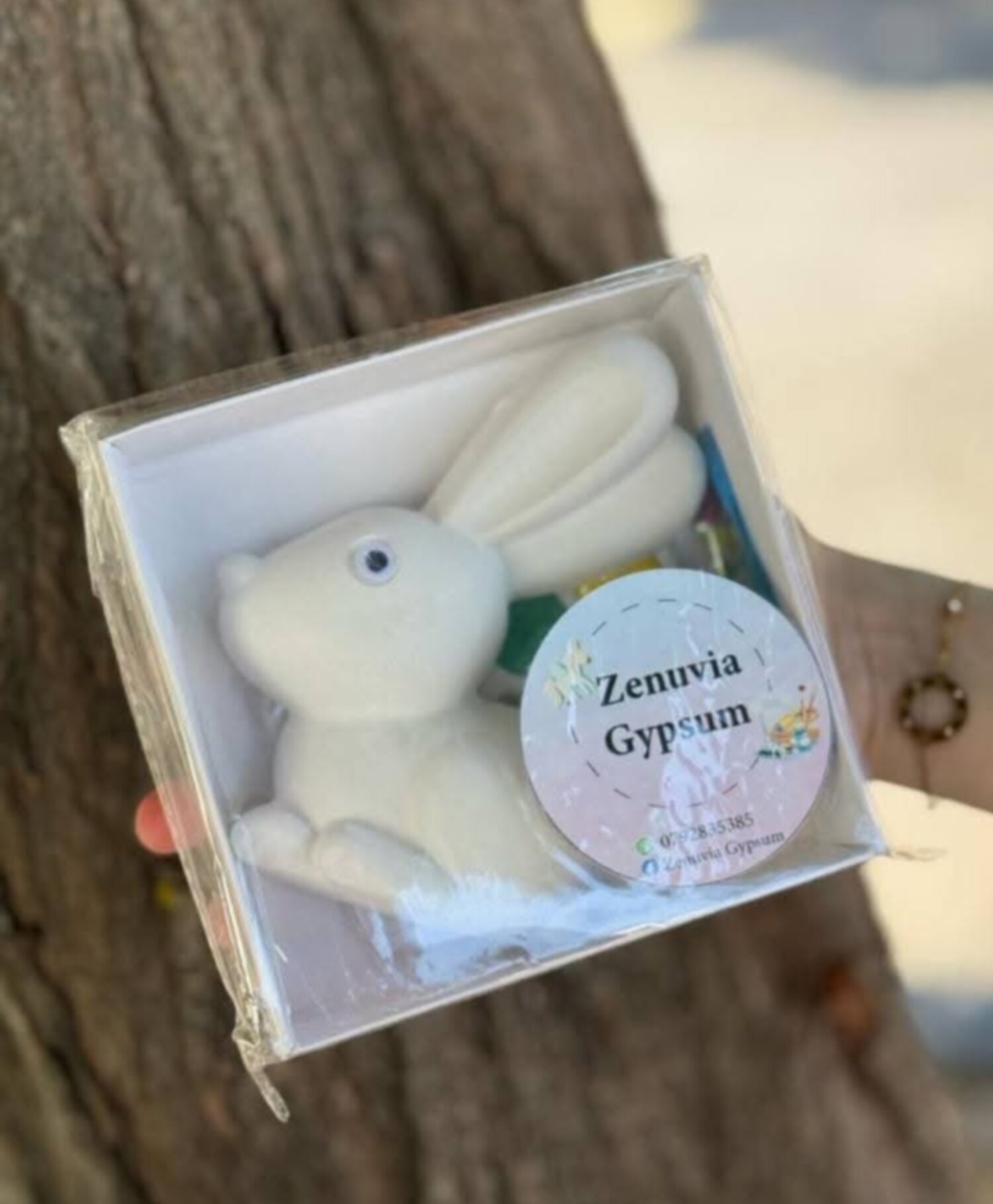 بوكس مجسم الأرنب 🐇